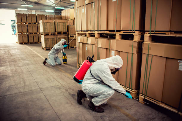 Best Residential Pest Control  in Harwood Heights, IL