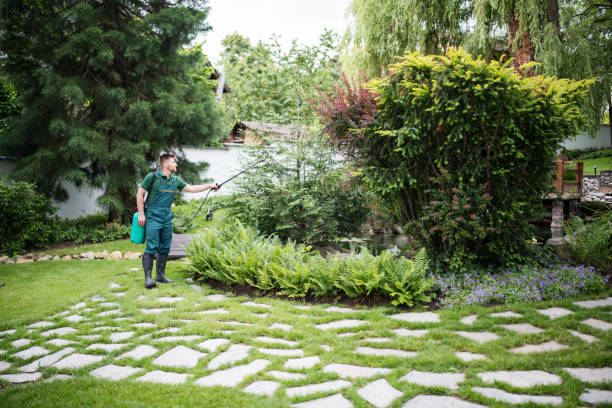 Flea Control Services in Harwood Heights, IL