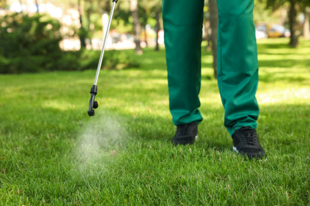 Best Wildlife Control Services  in Harwood Heights, IL