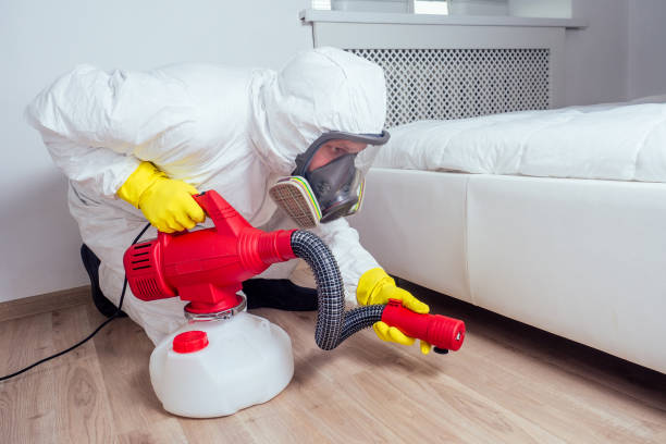 Best Pest Inspection Near Me  in Harwood Heights, IL