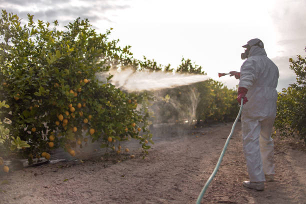 Best Best Pest Control Companies  in Harwood Heights, IL
