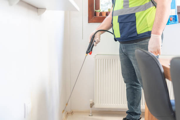 Wasp Removal Services in Harwood Heights, IL