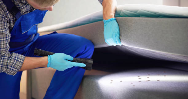 Best Affordable Pest Control Services  in Harwood Heights, IL