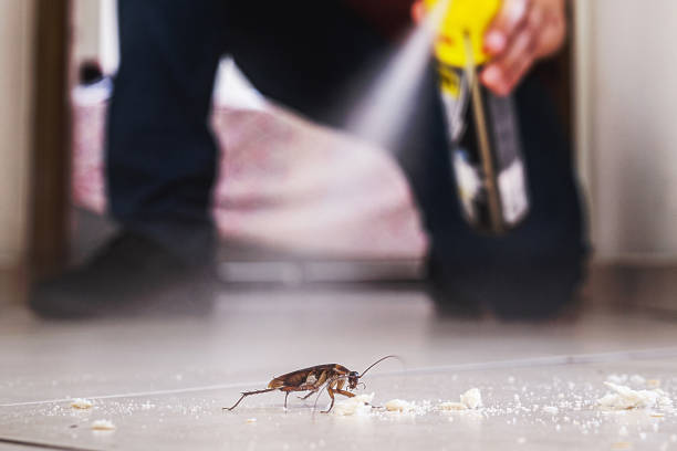 Best Best Pest Control Companies  in Harwood Heights, IL