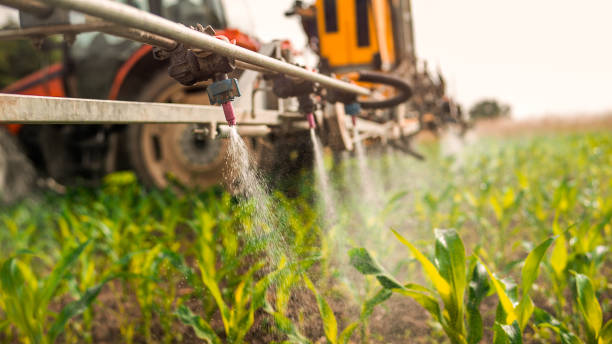 Best Pest Control for Businesses  in Harwood Heights, IL